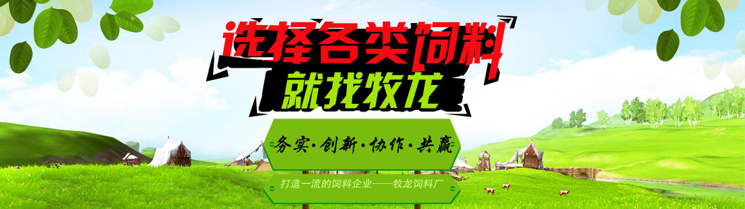 山東岱東人力資源管理有限公司 
